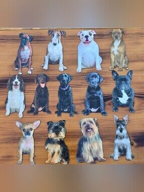 Lot Of 13 Paper House Dog Breed Refrigerator Magnets